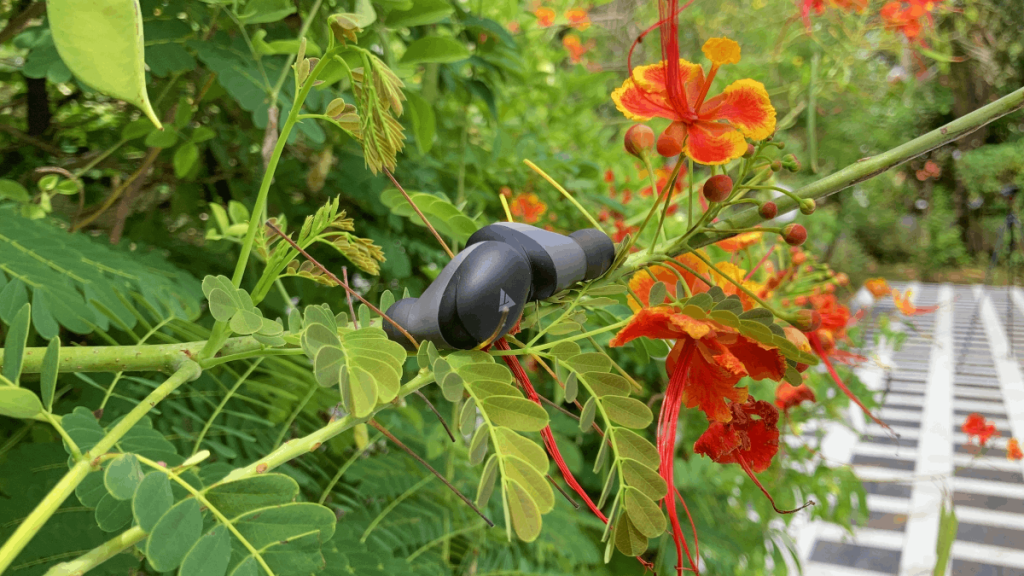 The Boult Zigbuds Earbuds are light enough to sit on flowers & leaves.