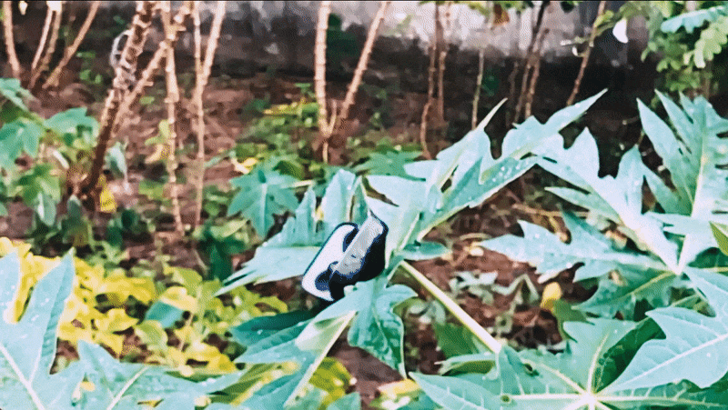 Boult Zigbuds build quality